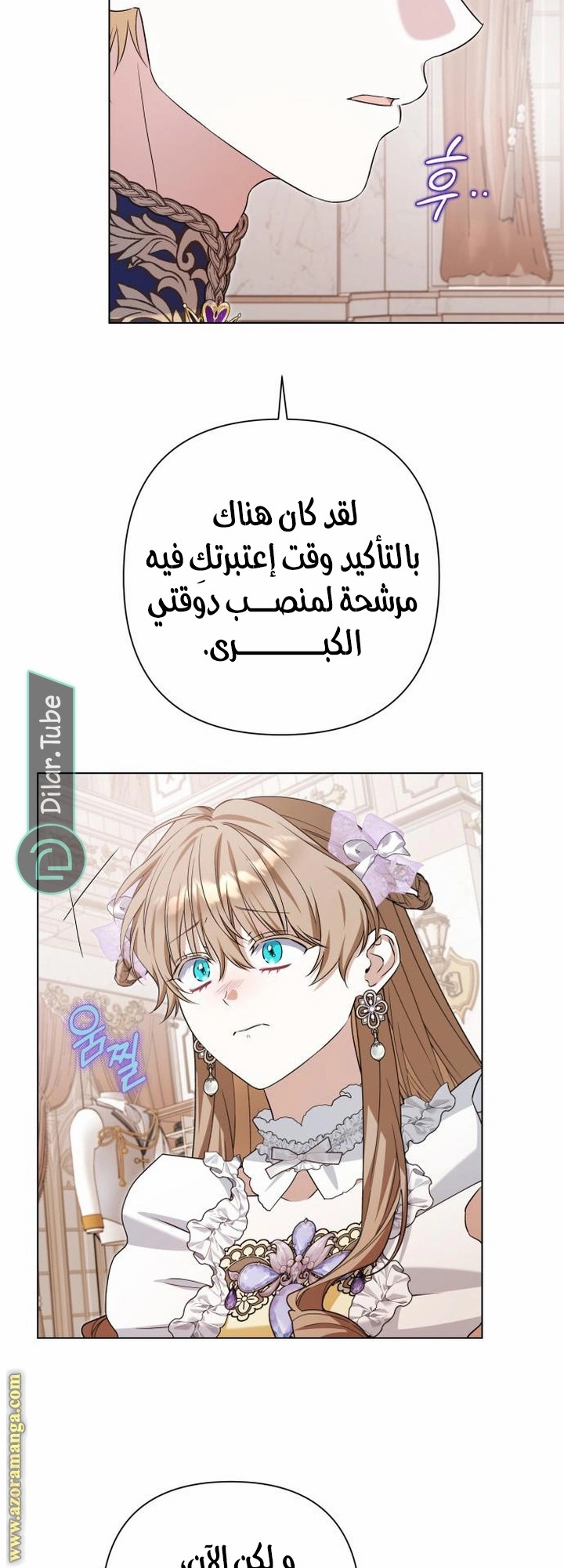 الصفحة 17