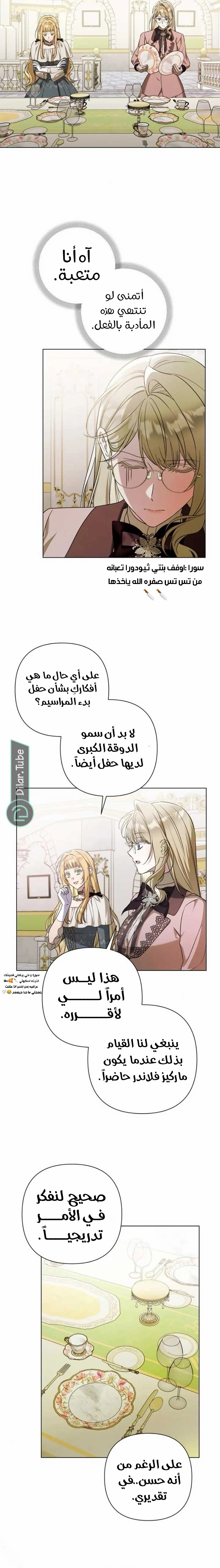 الصفحة 17