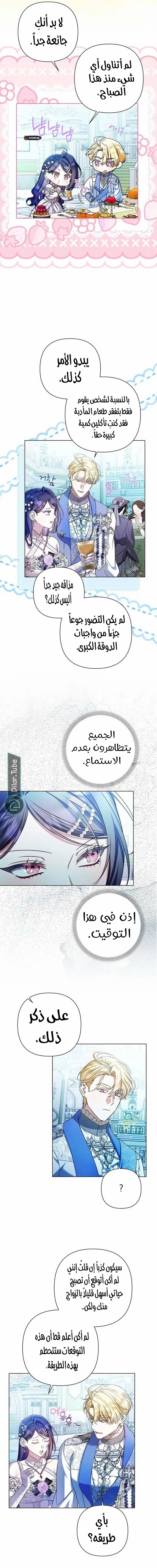 الصفحة 11