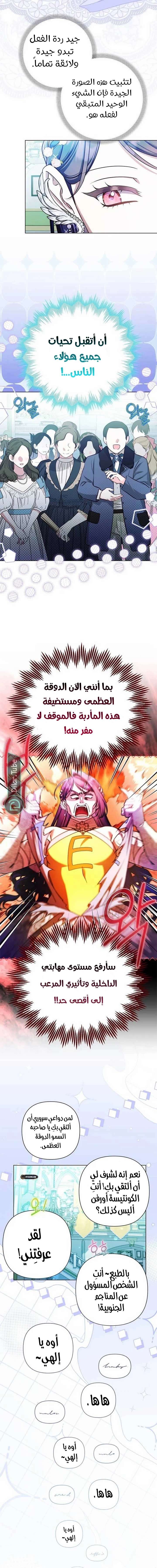 الصفحة 13