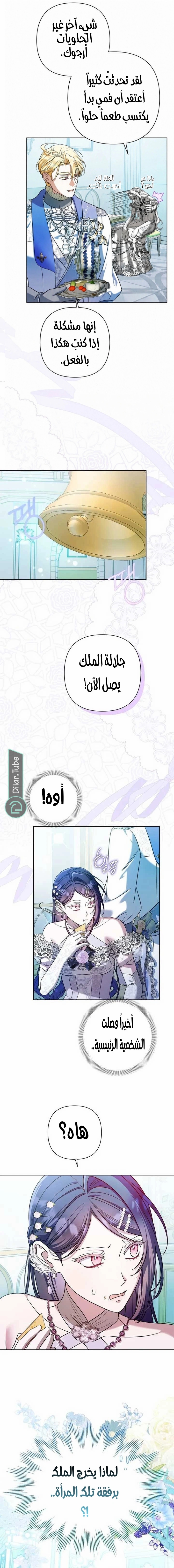 الصفحة 15