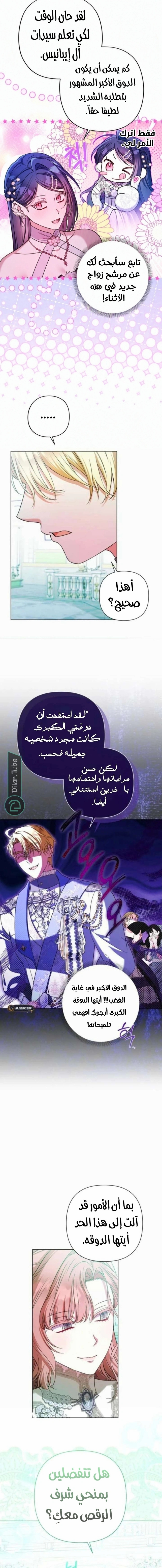 الصفحة 11