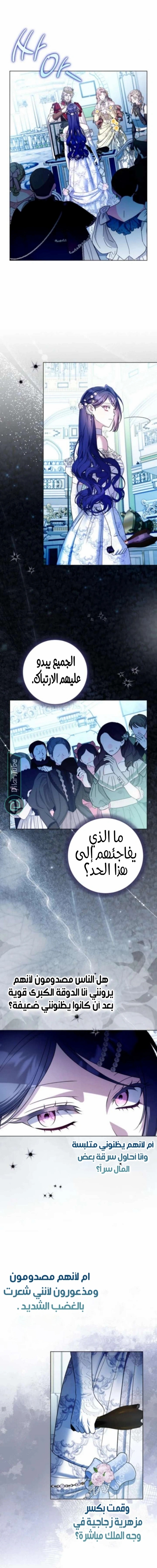 الصفحة 13