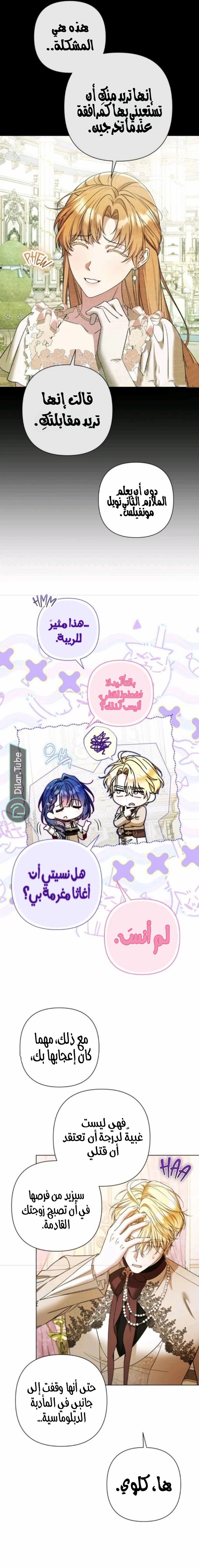 الصفحة 11