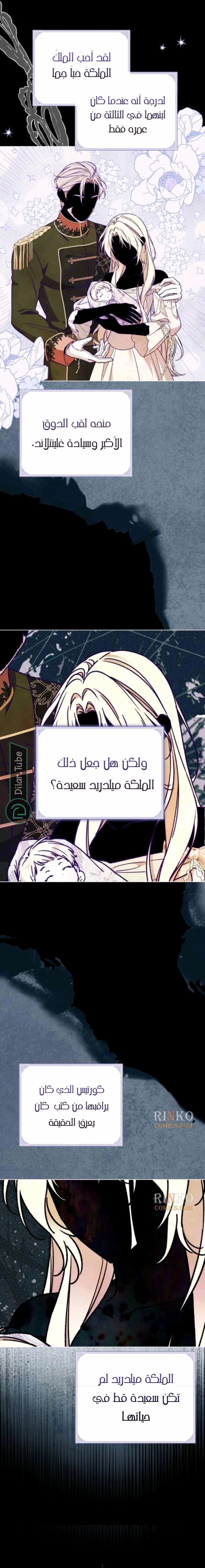 الصفحة 13