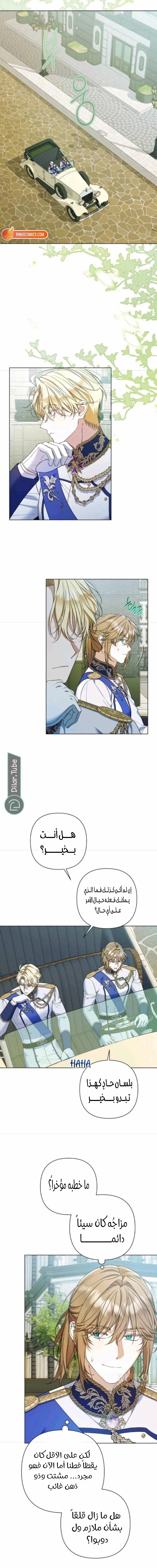 الصفحة 15