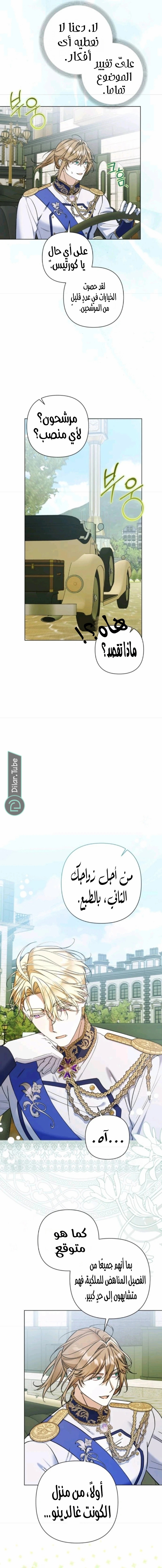 الصفحة 17