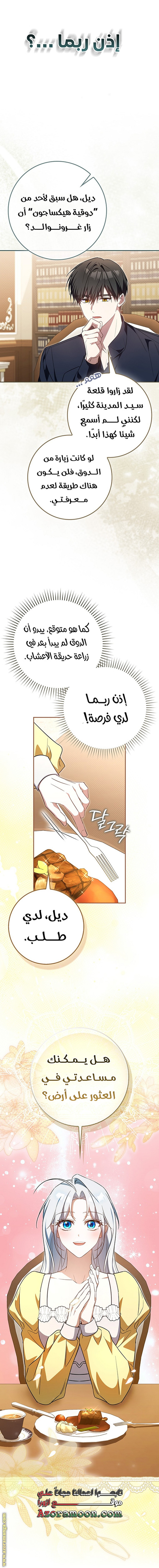 الصفحة 17