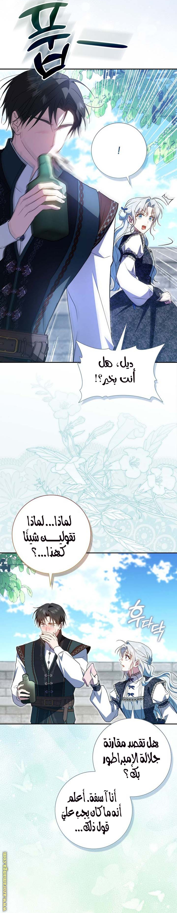 الصفحة 13