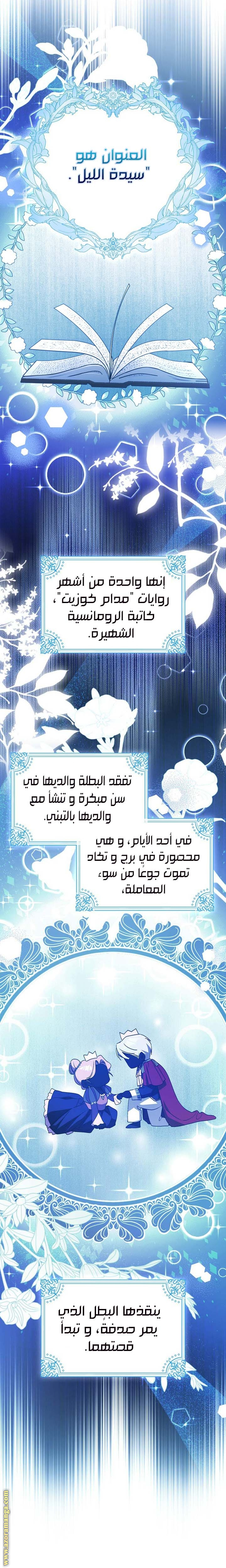 الصفحة 17