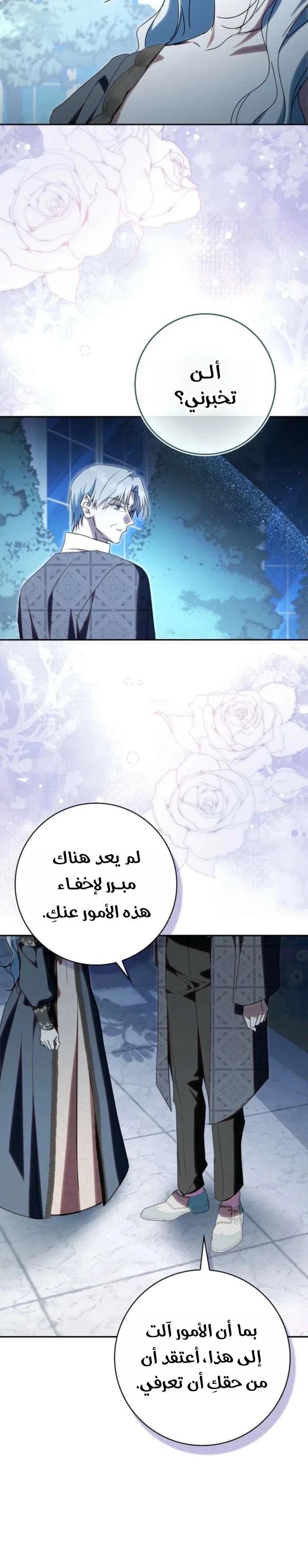 الصفحة 17