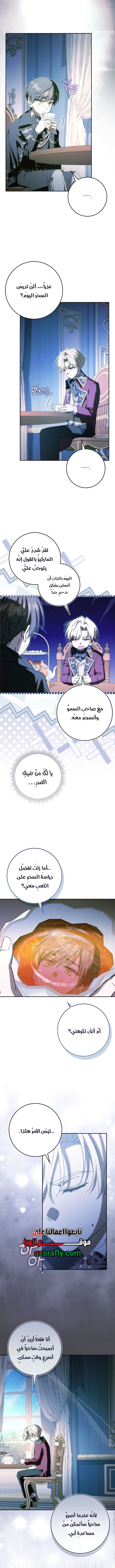 الصفحة 7