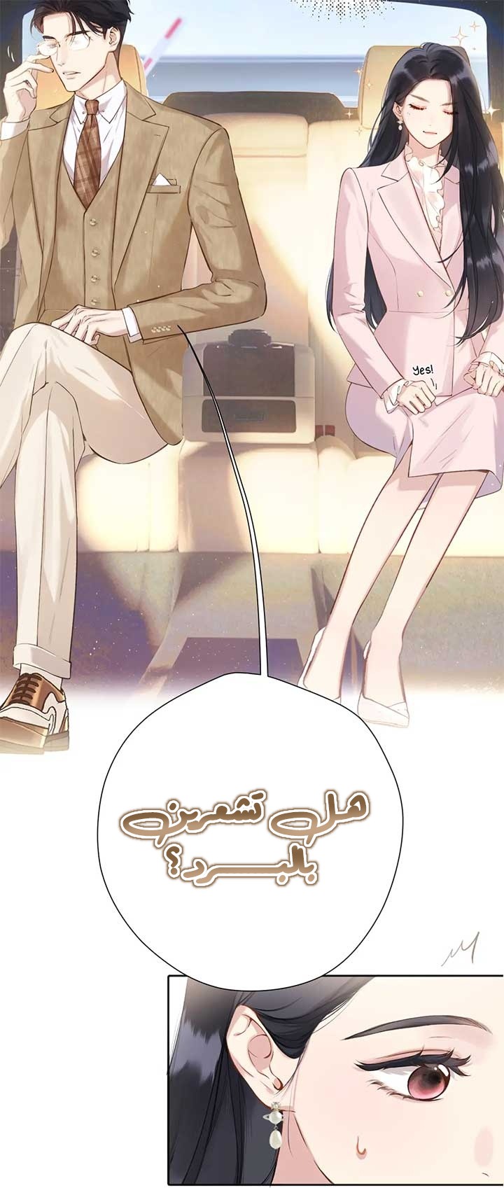 الصفحة 11