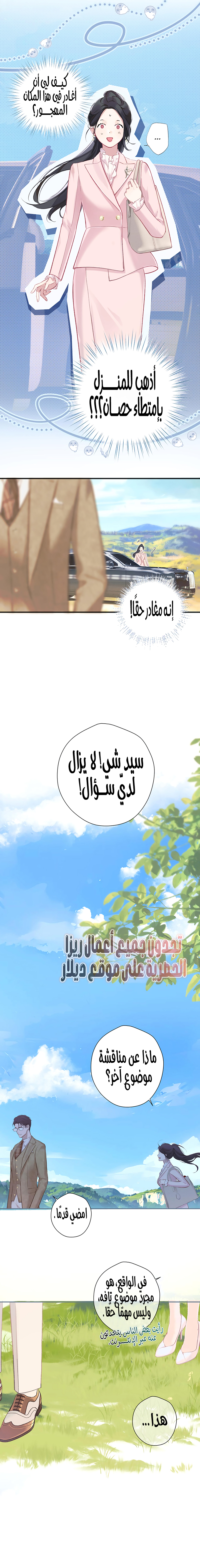 الصفحة 11