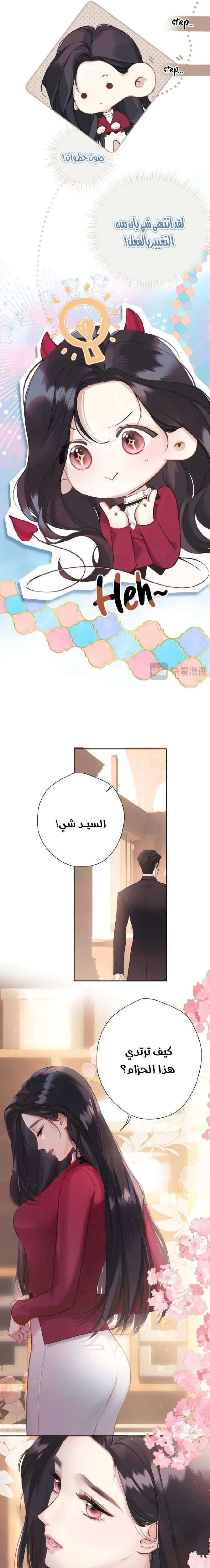 الصفحة 11