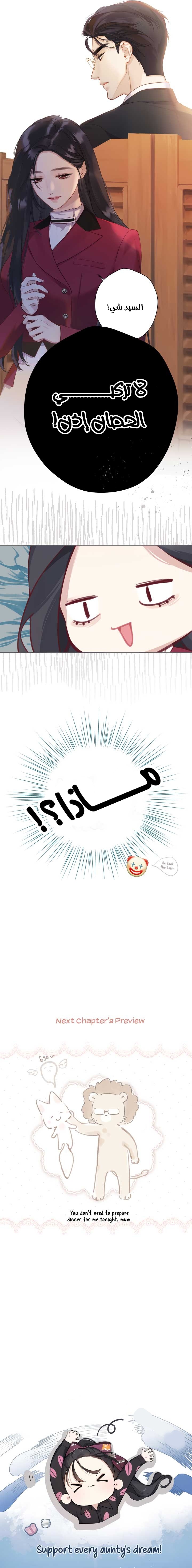 الصفحة 13