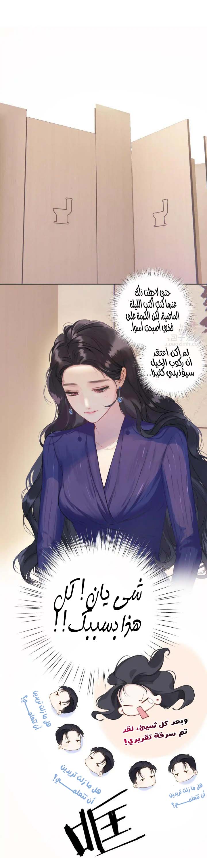 الصفحة 13