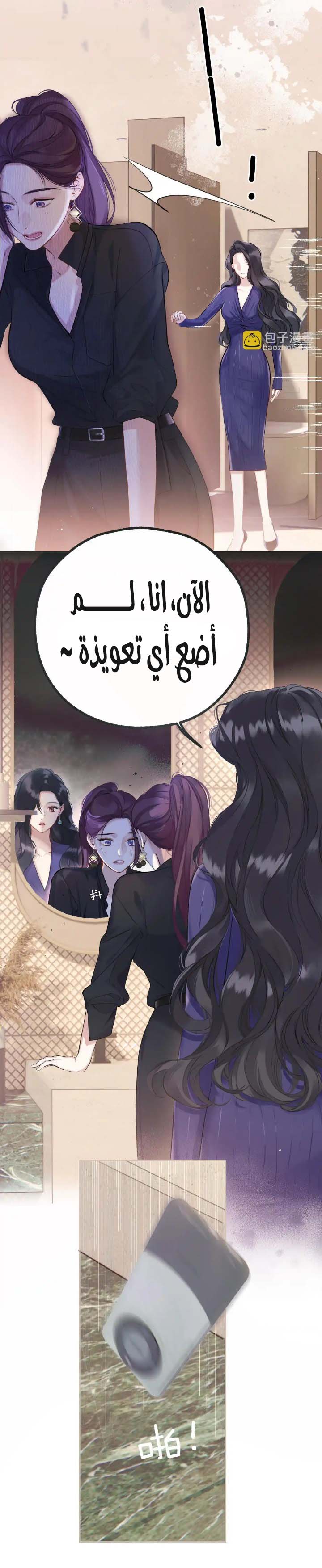 الصفحة 16