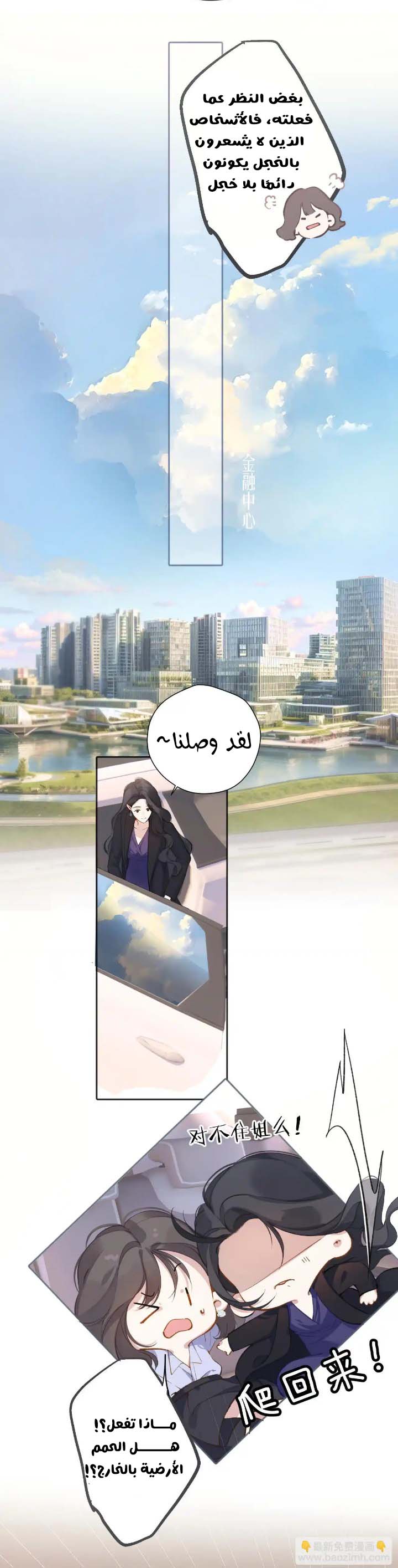 الصفحة 20