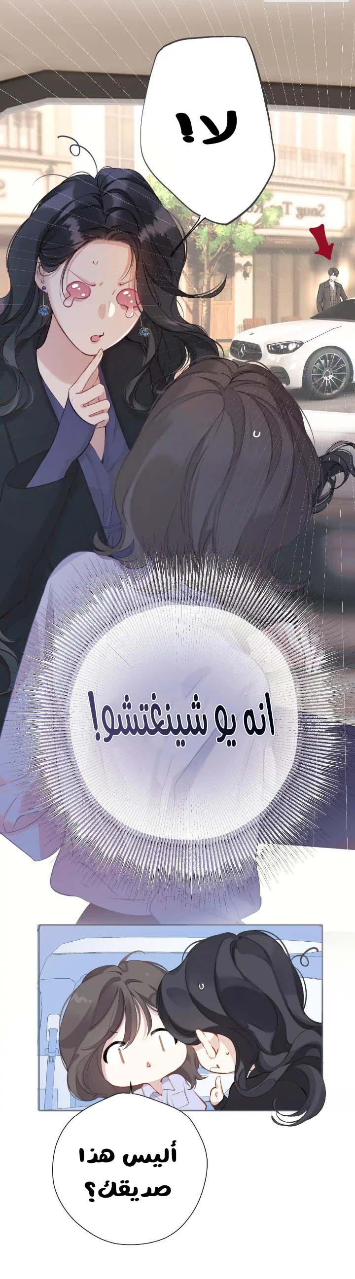 الصفحة 21