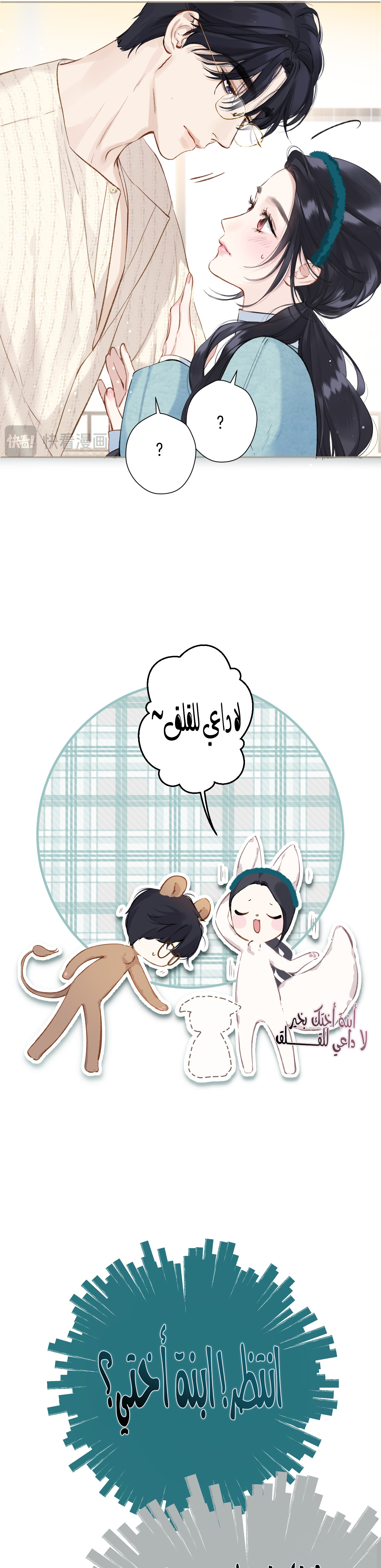 الصفحة 13
