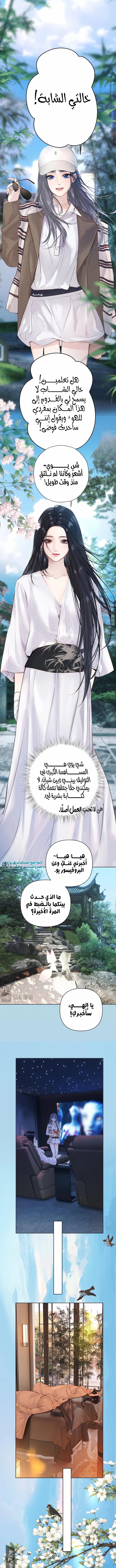 الصفحة 5