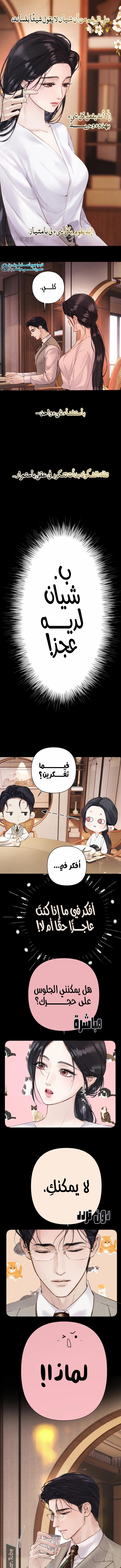 الصفحة 7