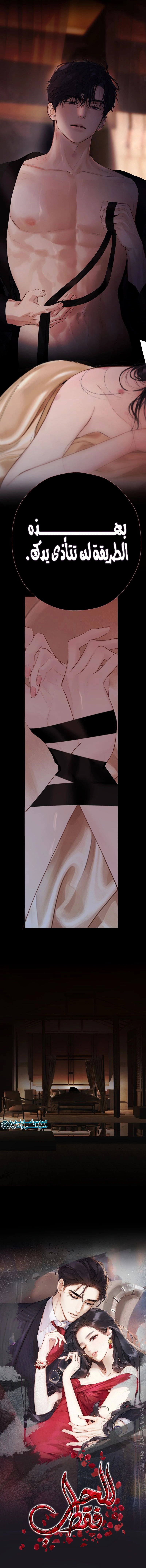 الصفحة 2