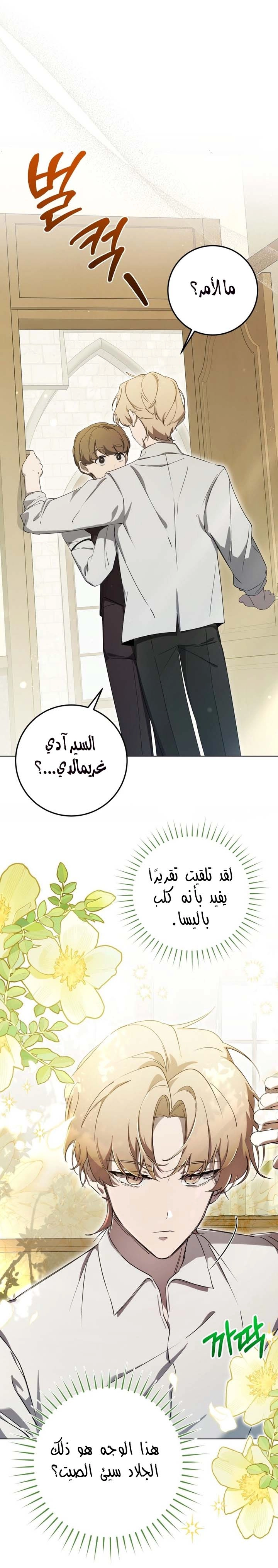 الصفحة 29