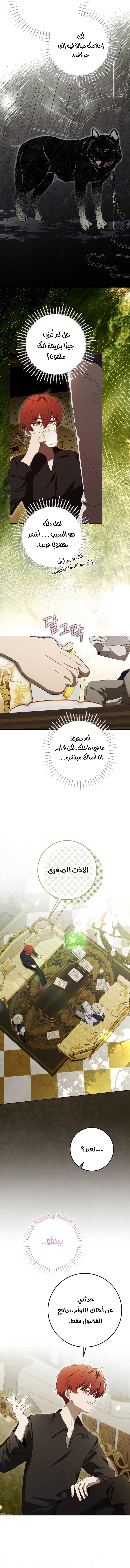 الصفحة 15