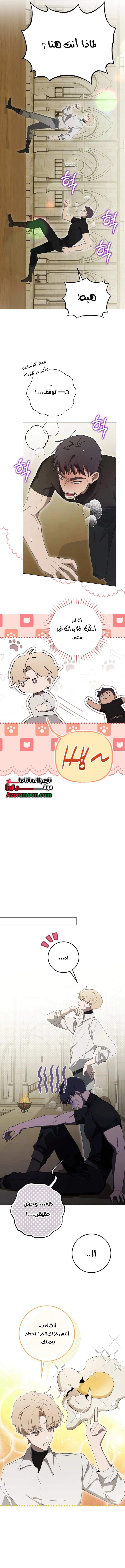 الصفحة 11