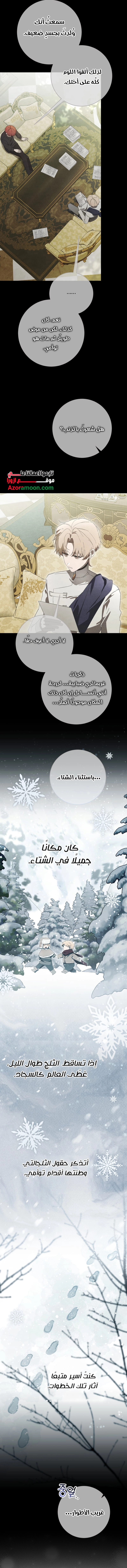 الصفحة 17