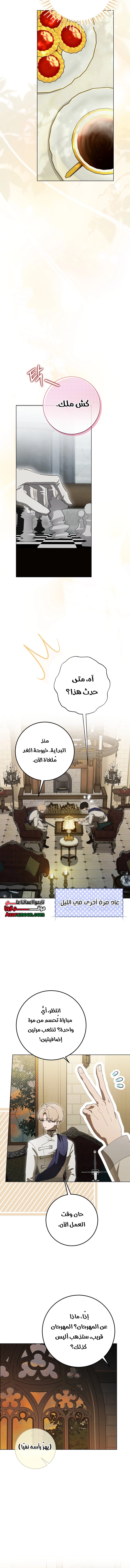 الصفحة 11