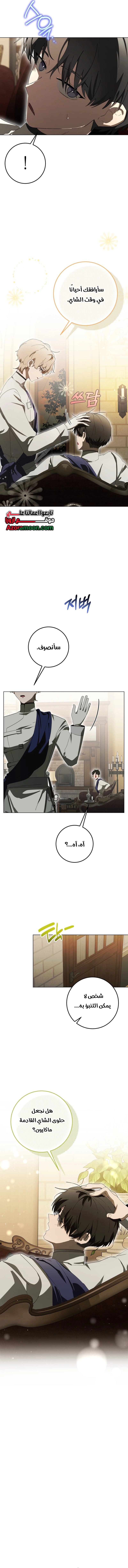 الصفحة 13