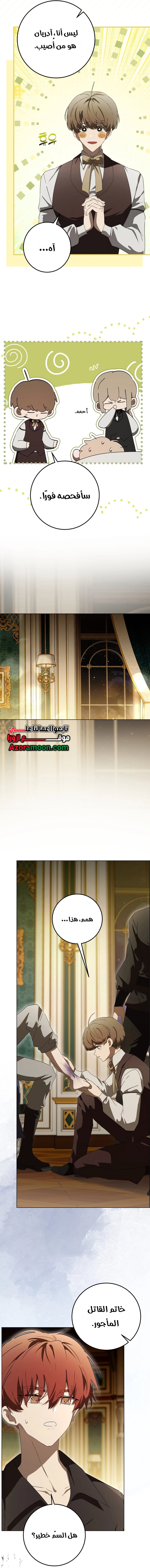 الصفحة 11