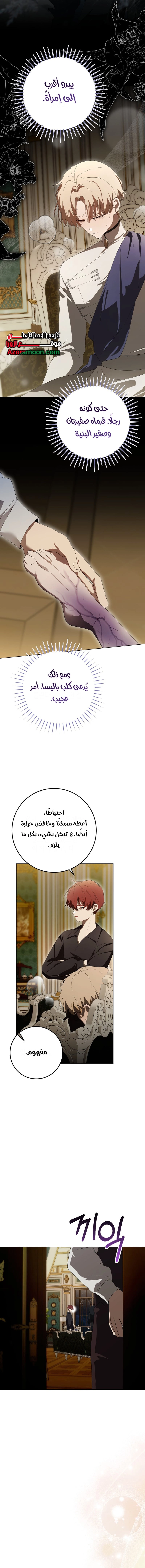 الصفحة 13