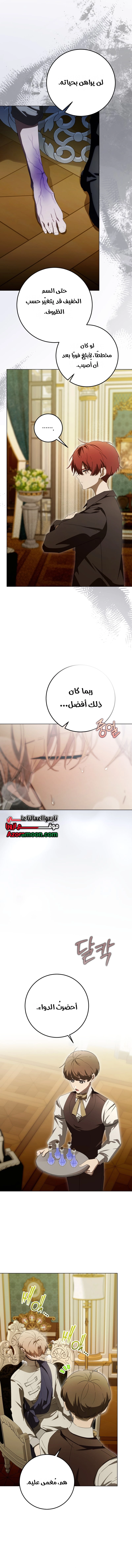 الصفحة 15