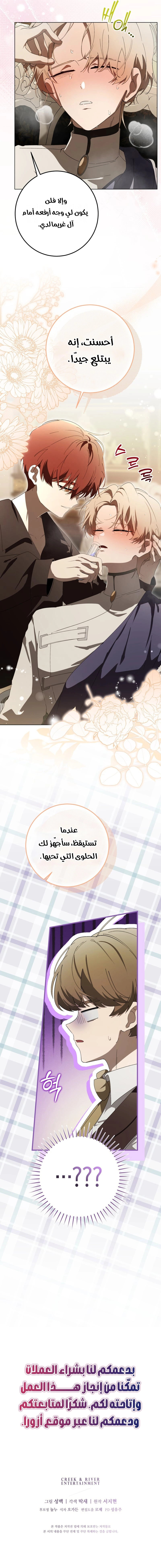 الصفحة 17