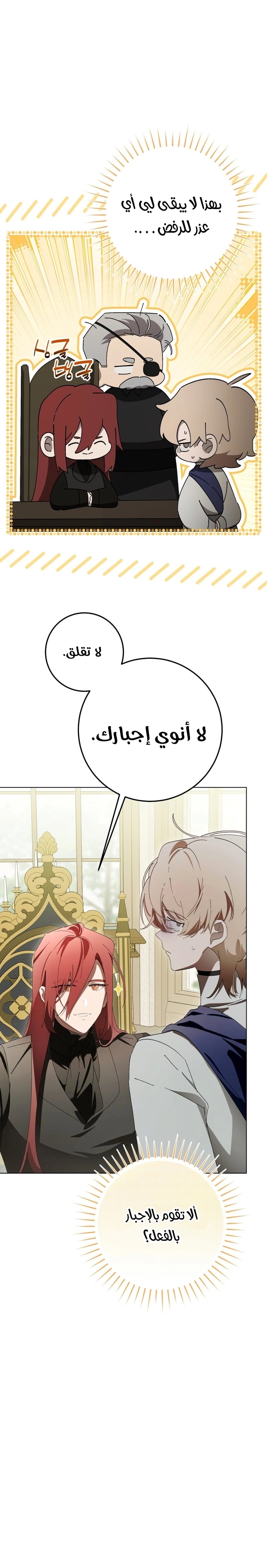 الصفحة 25