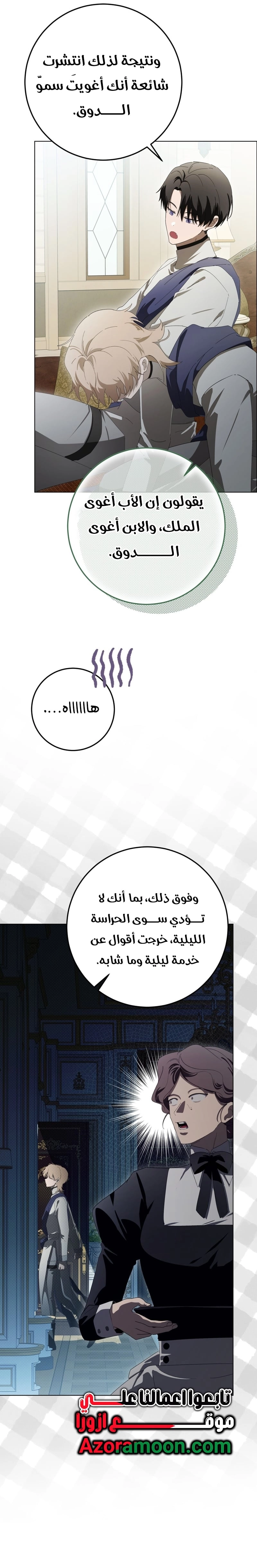 الصفحة 17