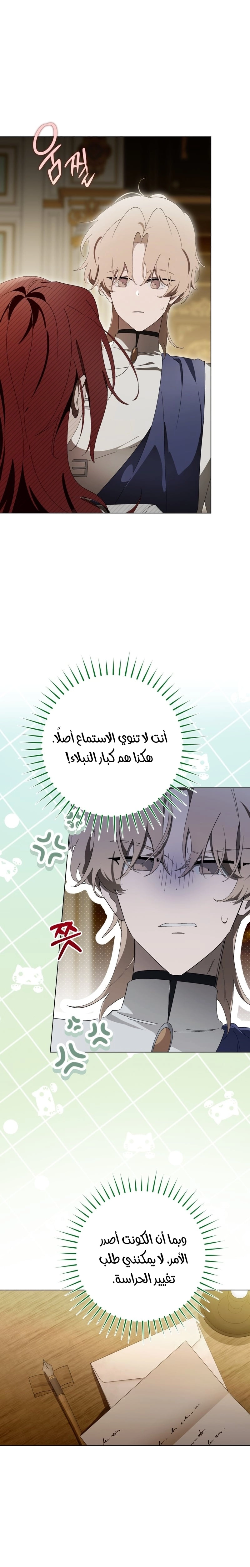الصفحة 26