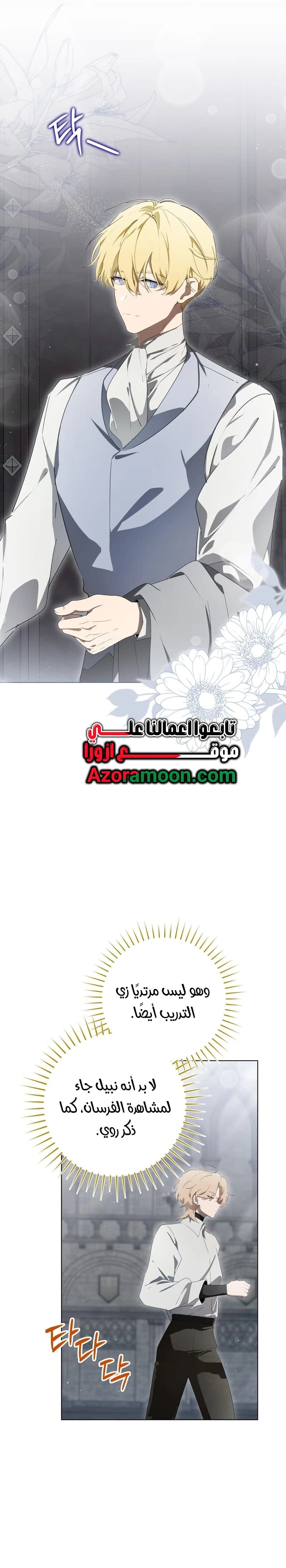 الصفحة 17