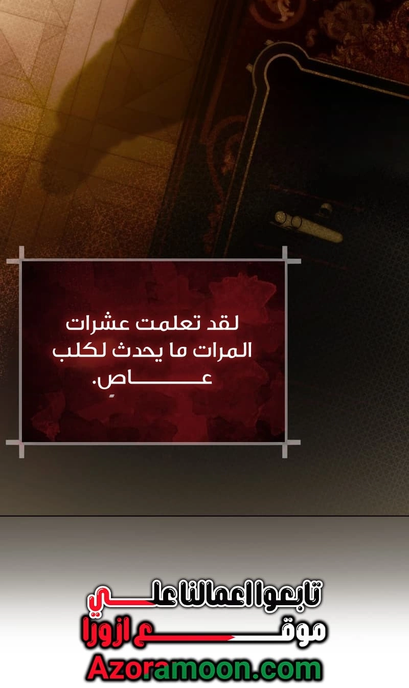 الصفحة 24
