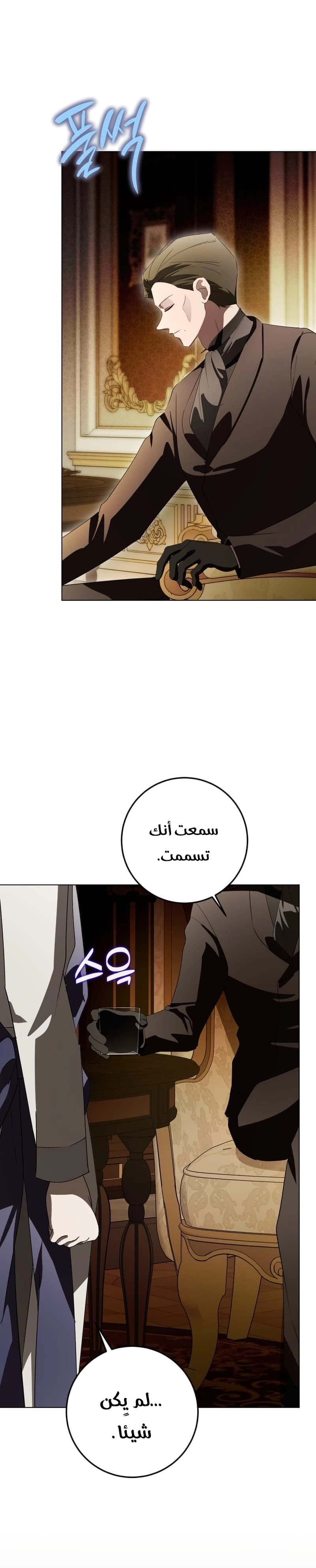 الصفحة 25