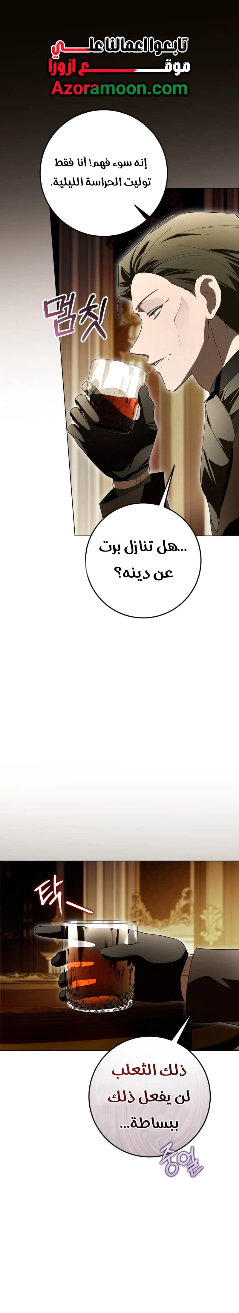 الصفحة 27