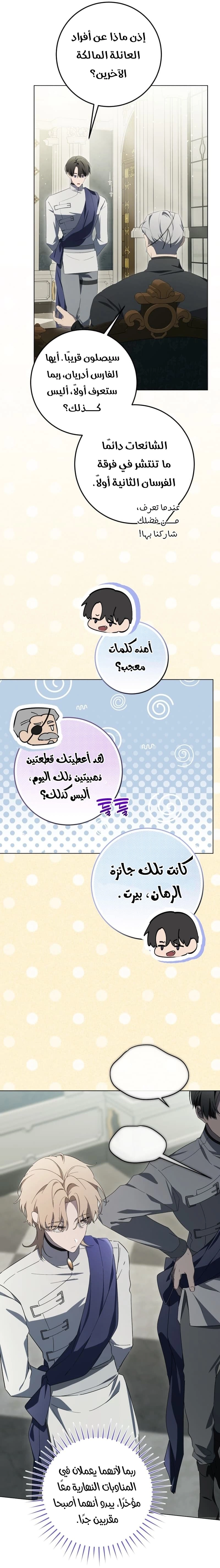 الصفحة 14