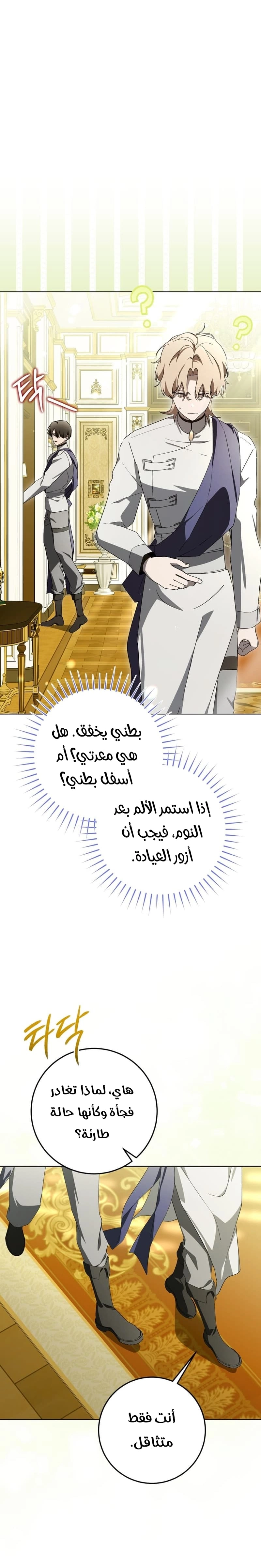 الصفحة 17