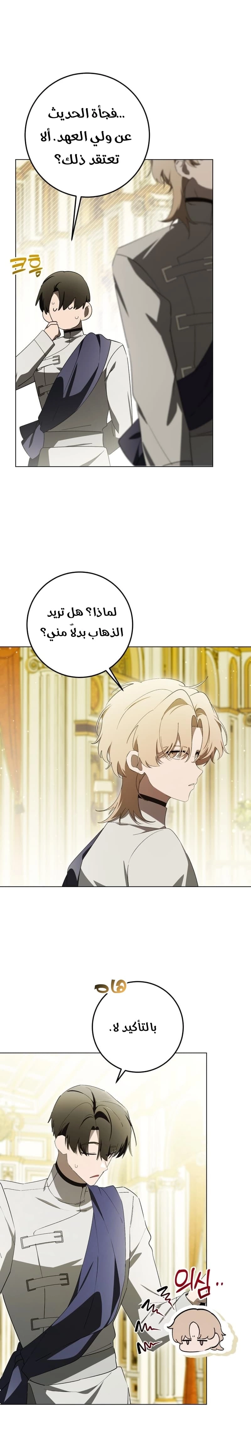 الصفحة 19