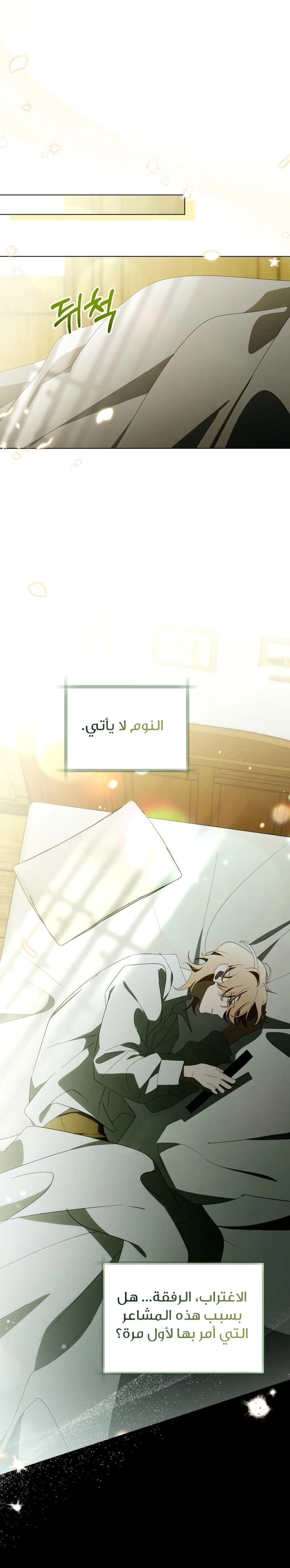 الصفحة 26