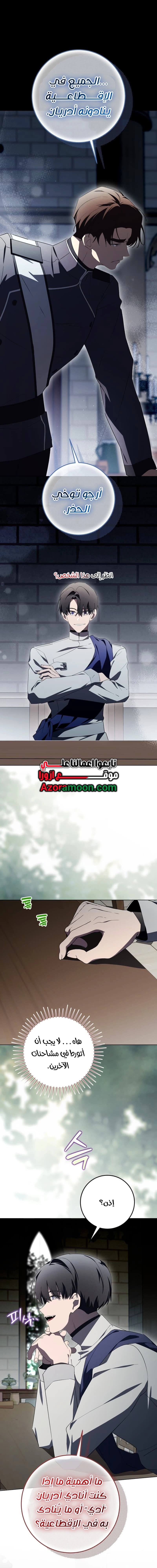الصفحة 17